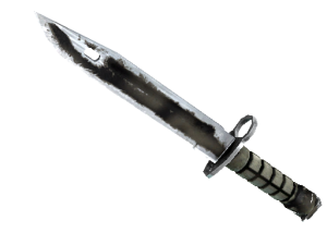 ★ StatTrak™ Штык-нож | Сажа