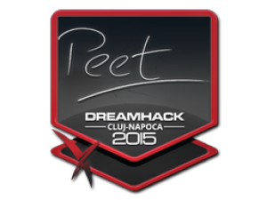 Наклейка | peet | Клуж-Напока 2015