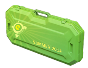 Летний кейс eSports 2014
