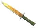 ★ Bayonet | Lore (Well-Worn)