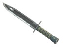 ★ Bayonet | Night (Battle-Scarred)