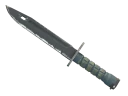 ★ Bayonet | Night (Well-Worn)