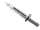 ★ Bayonet | Stained (Well-Worn)