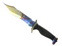 ★ Bowie Knife | Case Hardened (Field-Tested)