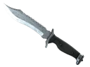 ★ Bowie Knife | Damascus Steel (Factory New)