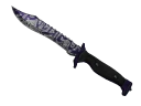 ★ Bowie Knife | Freehand (Field-Tested)
