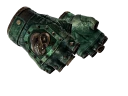 ★ Broken Fang Gloves | Jade (Battle-Scarred)