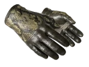 ★ Driver Gloves | Diamondback (Field-Tested)