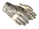 ★ Driver Gloves | King Snake (Well-Worn)