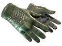 ★ Driver Gloves | Racing Green (Well-Worn)