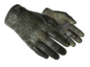 ★ Driver Gloves | Racing Green (Battle-Scarred)