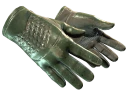 ★ Driver Gloves | Racing Green (Field-Tested)