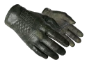 ★ Driver Gloves | Racing Green (Well-Worn)