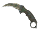 ★ Karambit | Forest DDPAT (Battle-Scarred)