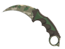 ★ Karambit | Forest DDPAT (Minimal Wear)