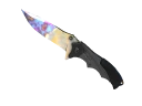 ★ Nomad Knife | Case Hardened (Factory New)