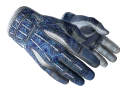 ★ Sport Gloves | Amphibious (Battle-Scarred)