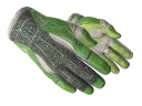 ★ Sport Gloves | Hedge Maze (Well-Worn)