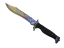 ★ StatTrak™ Bowie Knife | Case Hardened (Well-Worn)