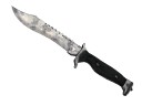 ★ StatTrak™ Bowie Knife | Stained (Well-Worn)