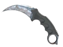 ★ StatTrak™ Karambit | Rust Coat (Well-Worn)