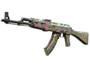 AK-47 | Head Shot (Well-Worn)