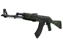 AK-47 | Jungle Spray (Battle-Scarred)