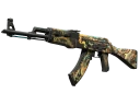 AK-47 | Phantom Disruptor (Well-Worn)