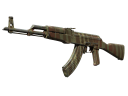 AK-47 | Predator (Well-Worn)