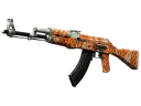 AK-47 | Safety Net (Well-Worn)