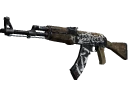 AK-47 | Wasteland Rebel (Well-Worn)