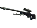 AWP | Exoskeleton (Well-Worn)