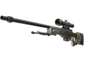 AWP | Worm God (Field-Tested)