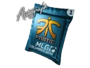 Autograph Capsule | Fnatic | MLG Columbus 2016