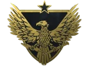 Значок: Бригадный генерал