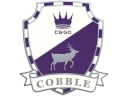 Значок: Cobblestone