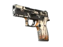 P250 | Bengal Tiger (Battle-Scarred)