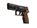 P250 | Bengal Tiger (Battle-Scarred)