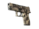 P250 | Black & Tan (Field-Tested)