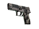 P250 | Black & Tan (Factory New)