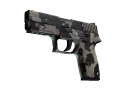 P250 | Black & Tan (Field-Tested)