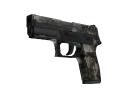 P250 | Bone Mask (Battle-Scarred)