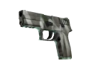 P250 | Bone Mask (Factory New)