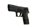 P250 | Boreal Forest (Battle-Scarred)