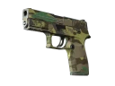 P250 | Boreal Forest (Well-Worn)