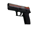 P250 | Cassette (Field-Tested)