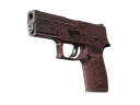 P250 | Загрязнитель (После полевых испытаний)