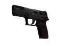 P250 | Contaminant (Battle-Scarred)