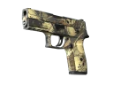 P250 | Заражение (После полевых испытаний)