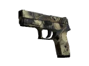 P250 | Contamination (Well-Worn)